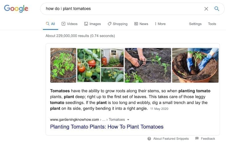 Answer Box Ranking - How do I plant tomatoes? 